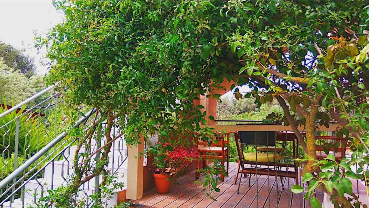 Kefalonia Apartments - Marias Studios - 2 Bedroom Apartment In Orchard, Spartia Bagian luar foto